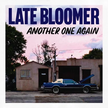 Another One Again by Late Bloomer - album cover