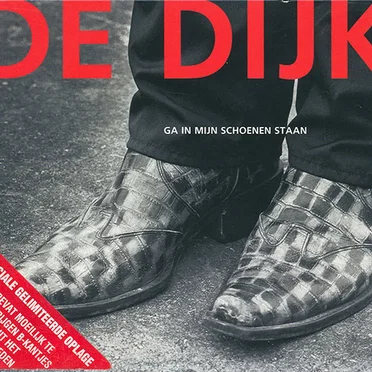 Ga in mijn schoenen staan