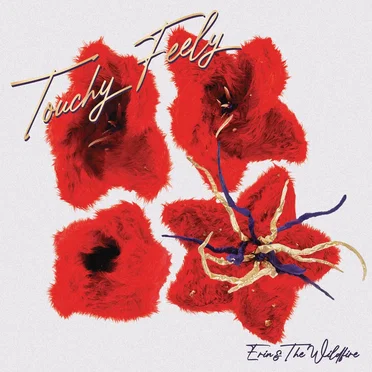 Touchy Feely by Erin & the Wildfire - album cover