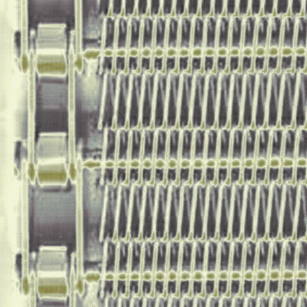 The Ghost of Georges Bataille