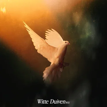 Witte duiven