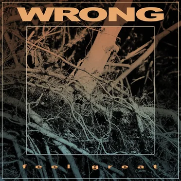 Feel Great by Wrong - album cover
