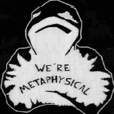 We're Metaphysical by Metaphysical Combat - album cover