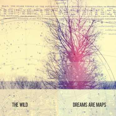 Dreams Are Maps by The Wild - album cover