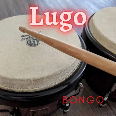 Bongo