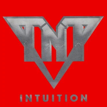 Intuition