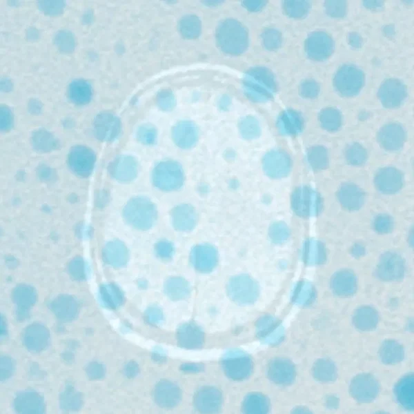 Gadolinium