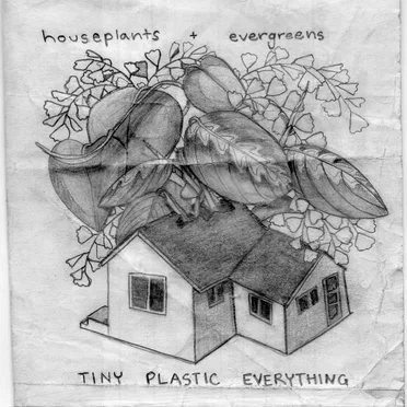 Houseplants/Evergreens