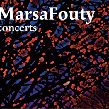 Concerts by MarsaFouty - album cover