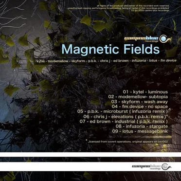Magnetic Fields by Various Artists - album cover