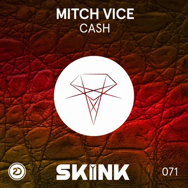 Cash by Mitch Vice - album cover