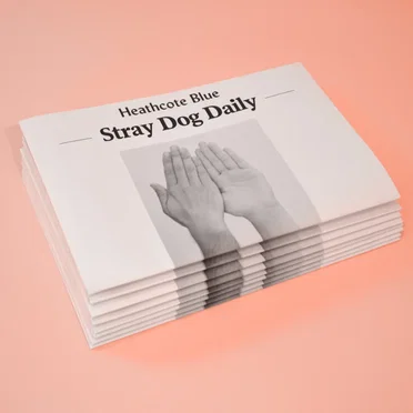 Stray Dog Daily by Heathcote Blue - album cover