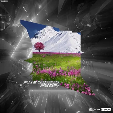 Ethnic Gleam EP by Freqmind - album cover