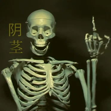 (reborn from the ashes) - 从灰烬中重生 by d a b i g s p o o k 阴茎 - album cover