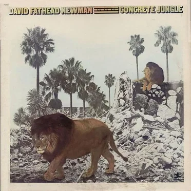 Concrete Jungle