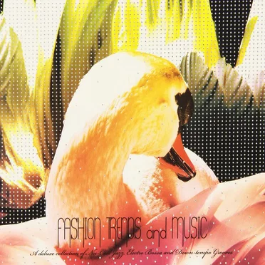 Fashion Trends & Music by Various Artists - album cover