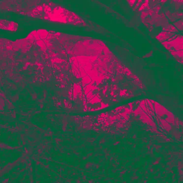 Cromwell’s Mark: A Lamentation of Lost Landscapes by Dubh - album cover