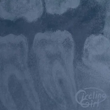 Teeth