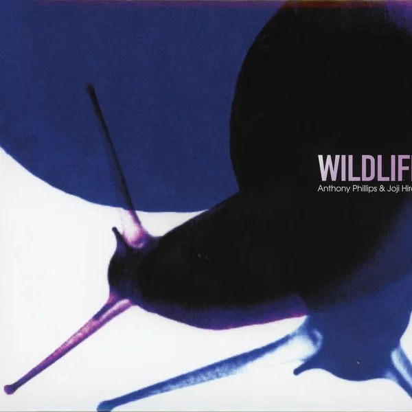 Wildlife