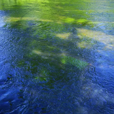 Never Come Back (Koreless remix)