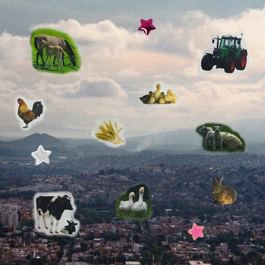 Flora y Fauna del Estado de México by cacomixtle - album cover