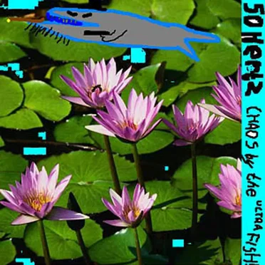 Chaos by the Ultra Fish