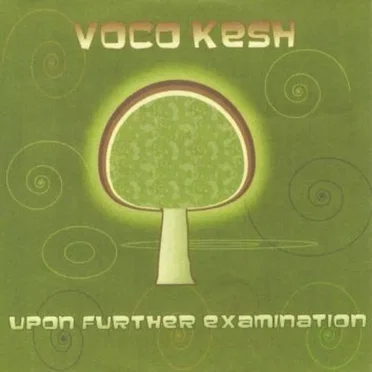 Upon Further Examination by Vocokesh - album cover