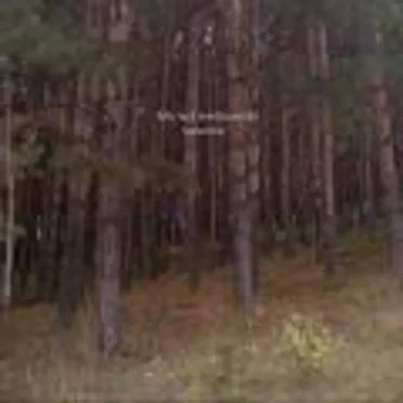 September