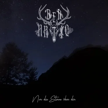 Nur die Sterne über dir by Dea Artio - album cover
