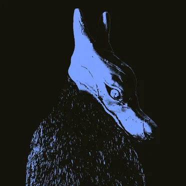 PAYDAY by coyote2 - album cover