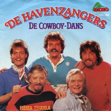 De cowboy-dans