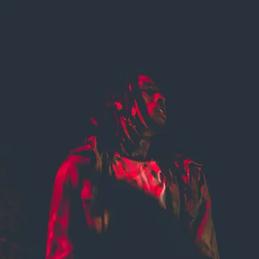 Art Of Destruction by Chris Travis - album cover
