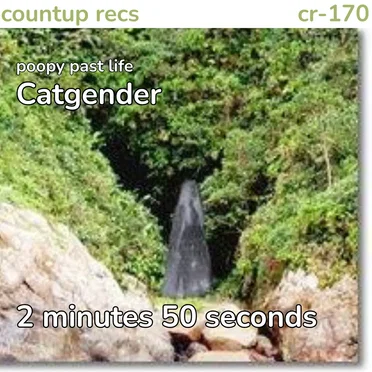 Catgender by poopy past life - album cover