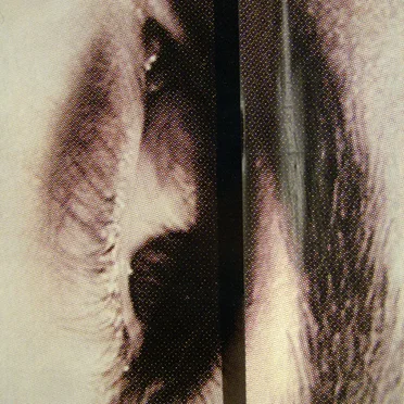 Three Atrophies, One Plague-Bearer