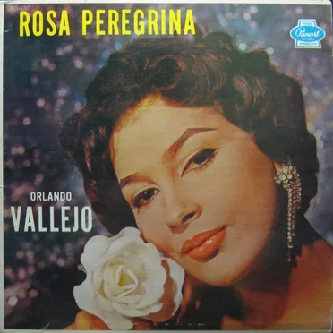 Rosa peregrina
