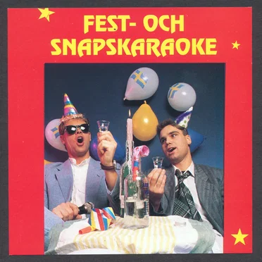 Fest- och snapskaraoke by Various Artists - album cover