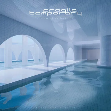 sorrowful reflections by fragile_temporary - album cover