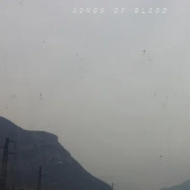Songs of Blood by In the Blood in the Flesh - album cover