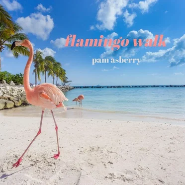 Flamingo Walk by Pam Asberry - album cover