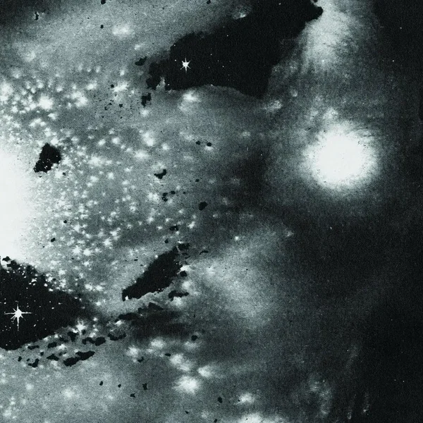 Cosmos in the Chaos
