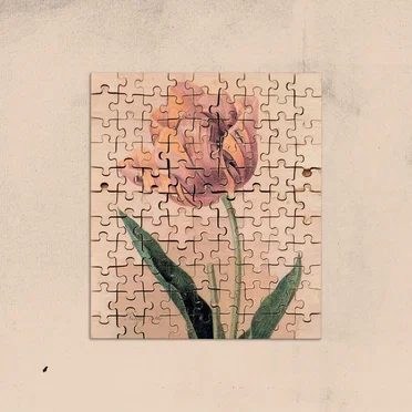 Jealousy Tulip by Other Joe - album cover