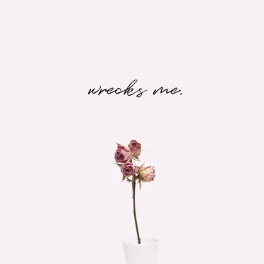 Wrecks Me by Stephen Carey - album cover