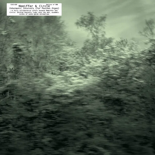 Enharmonic Intervals (for Paschen Organ)