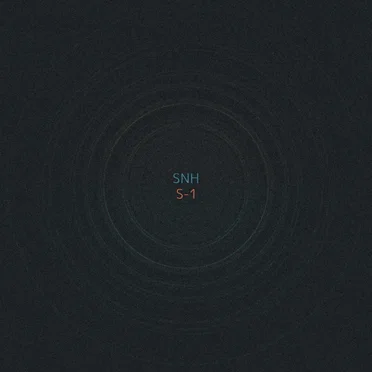 S-1