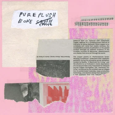 Pure Plush Bone Cage