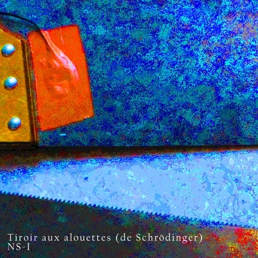 NS-I by Tiroir aux alouettes (de Schrödinger) - album cover