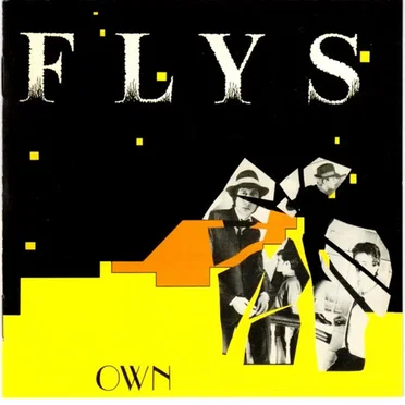 Own by The Flys - album cover