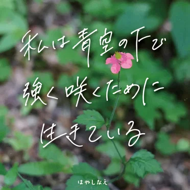 私は青空の下で強く咲くために生きている
