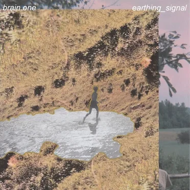 EARTHING SIGNAL by brain one - album cover