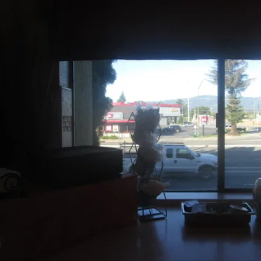 Even More Recordings of Campbell, CA